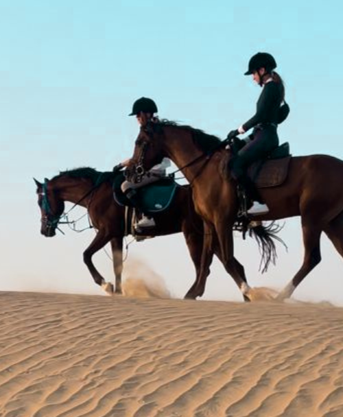 Private Horse riding classes Private Horse riding classes