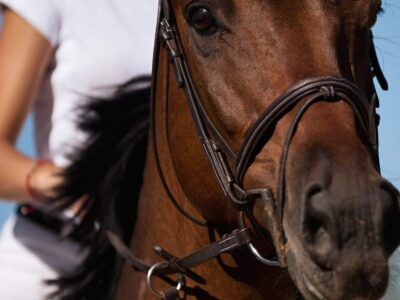 80Km Endurance Leasing: