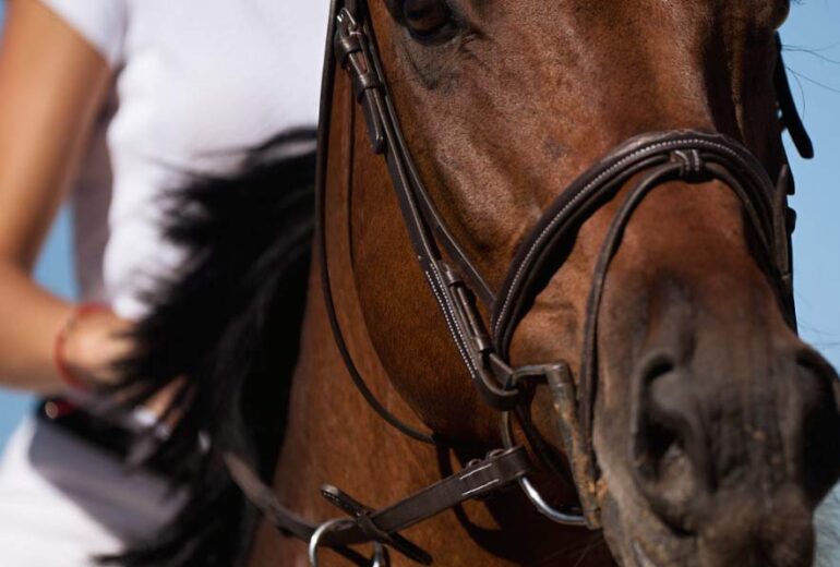 80Km Endurance Leasing: