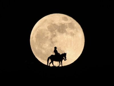 WhatsApp Image 2023-09-27 at 14.57.58