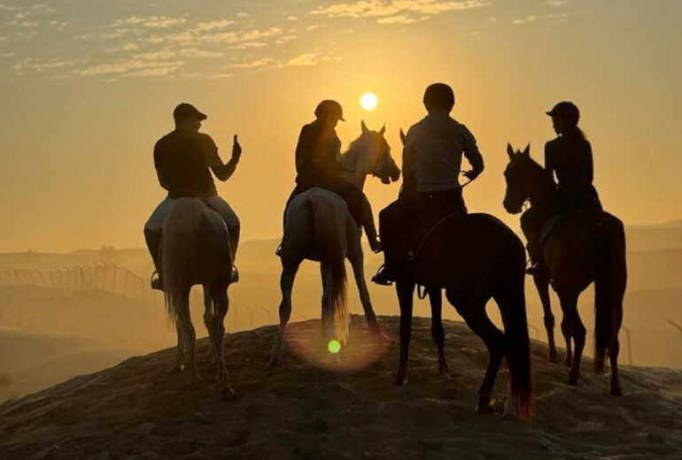 M11 horse riding group classes