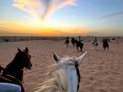 40Km Endurance Leasing - M11 stables