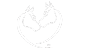 M11 stables logo