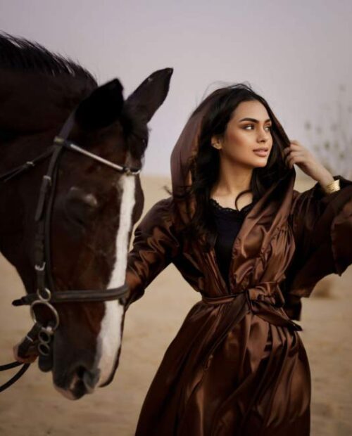 About M11 stable dubai About M11 stable dubai