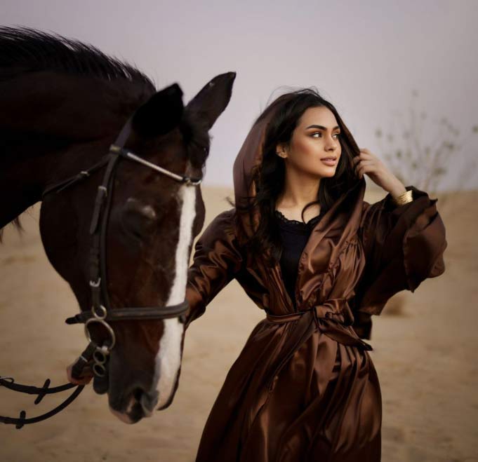 About M11 stable dubai About M11 stable dubai