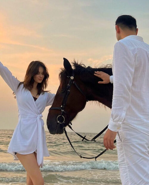 rovide your horse with the ultimate comfort and luxury with our air-conditioned stables featuring attached paddocks. rovide your horse with the ultimate comfort and luxury with our air-conditioned stables featuring attached paddocks.