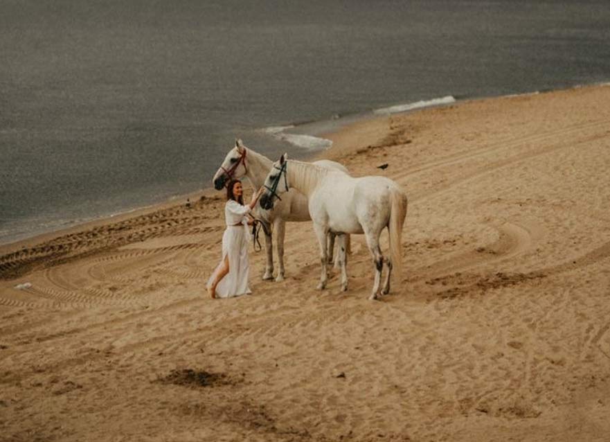 Desert Hack (Horse riding)