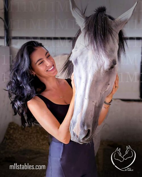 Best Horse Riding in Dubai - m11 stables Best Horse Riding in Dubai - m11 stables