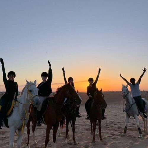 Our vision and mission Our vision and mission